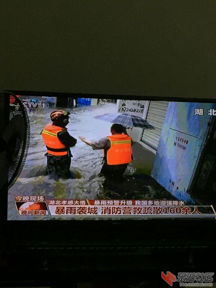 暴雨.jpg