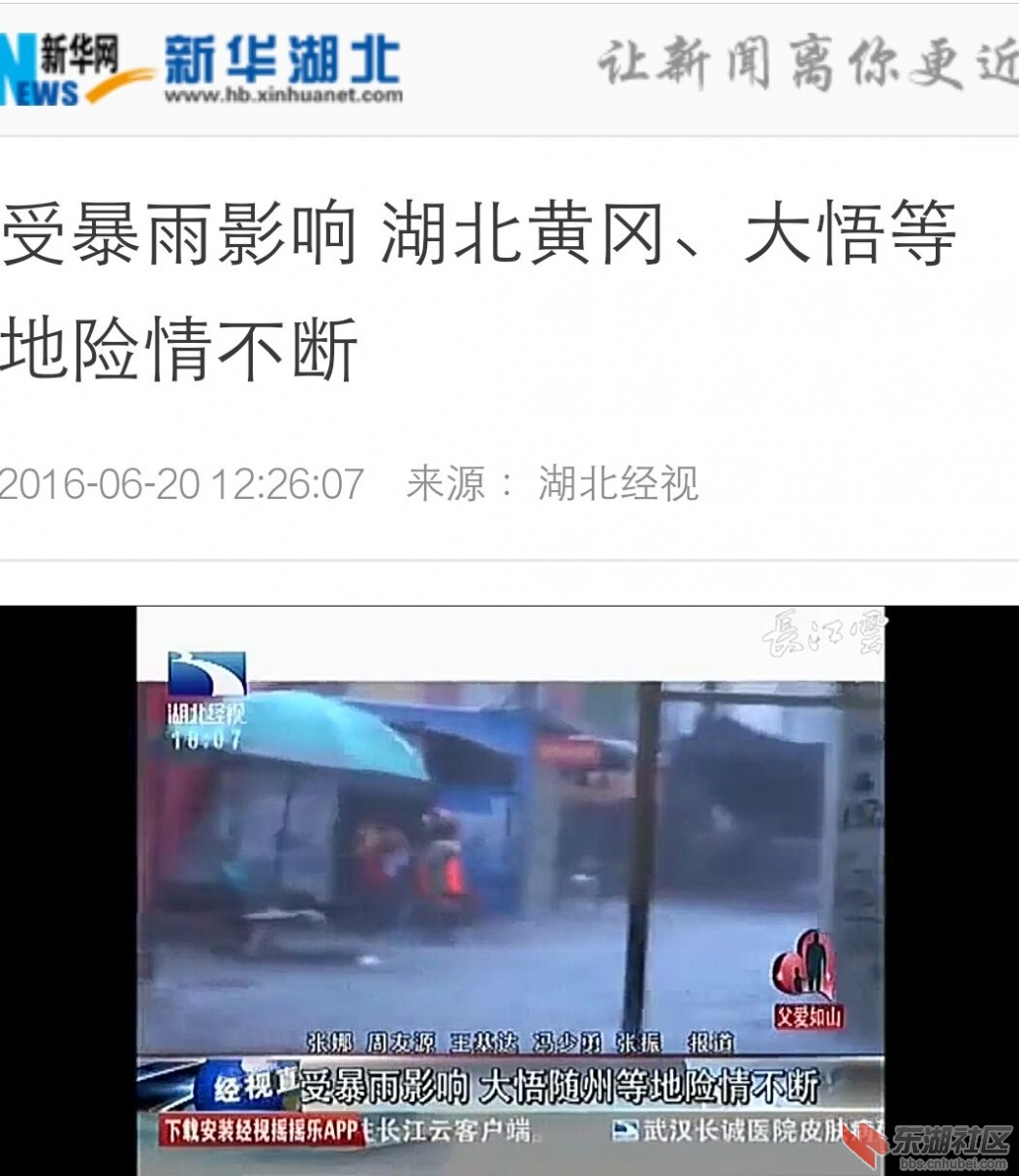 湖北经视直播.jpg