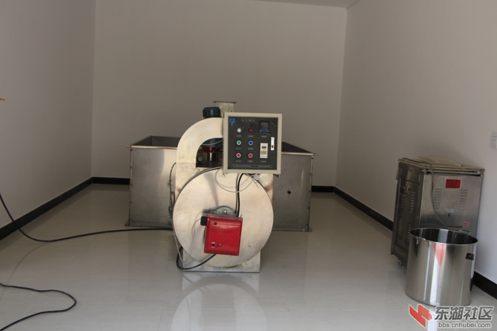 _MG_2565.jpg