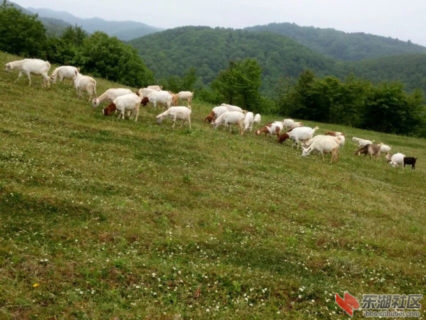 c7.jpg