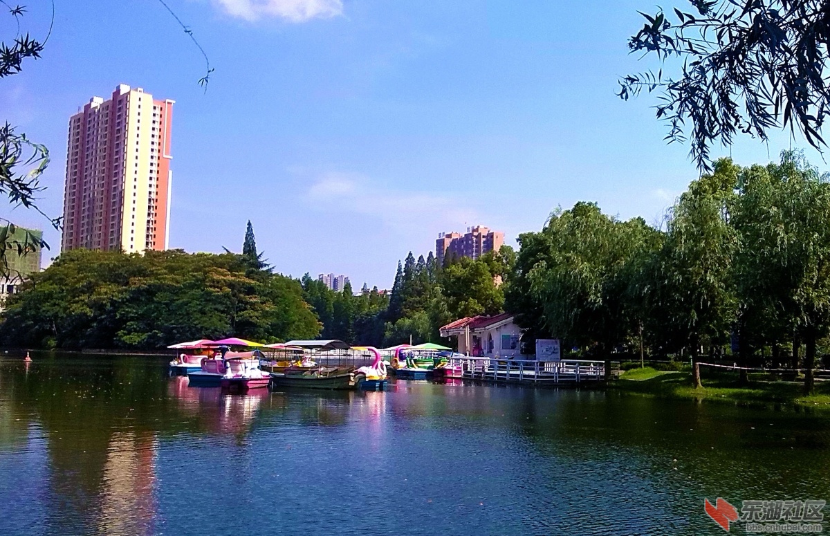 潛江網站建設美麗_(潛江市美麗鄉村是哪四個村)