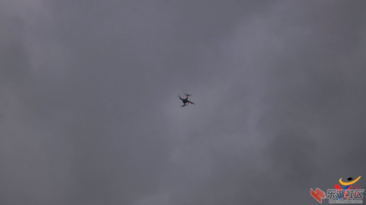 DSC05913.jpg