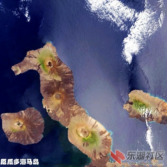05厄瓜多海马岛.jpg