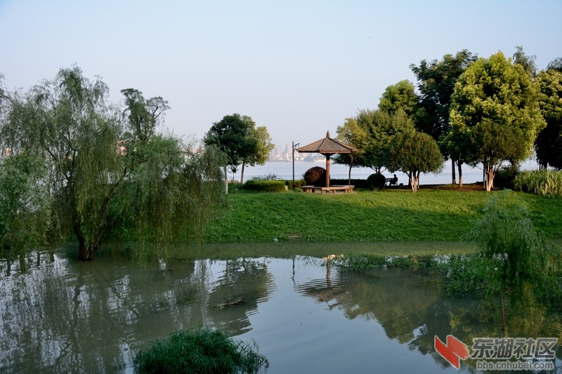 DSC_6779.JPG