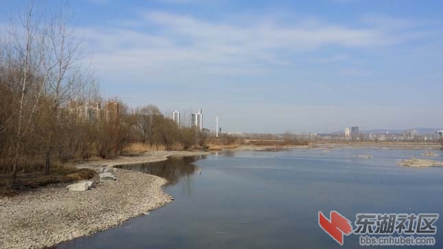 城中湿地.jpg
