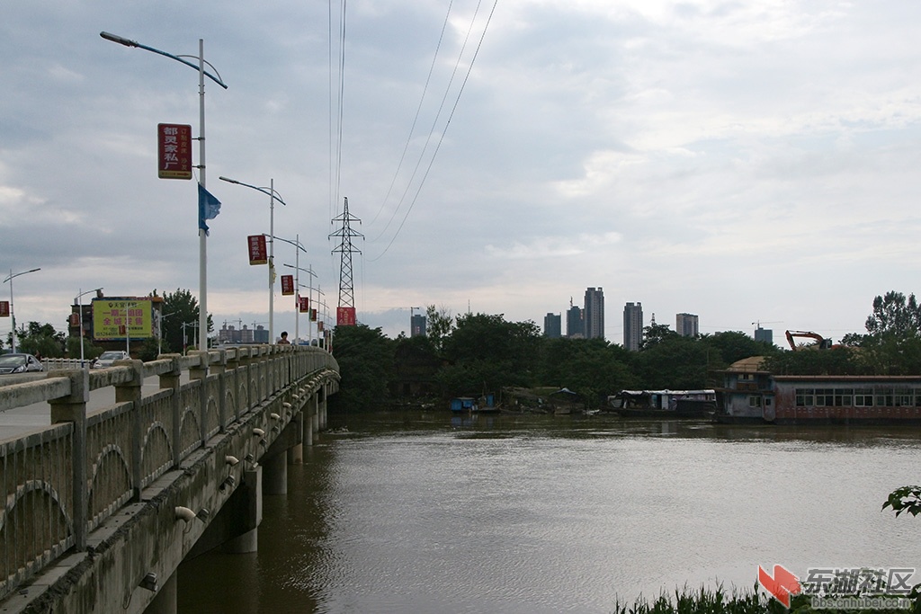 IMG_3513.jpg