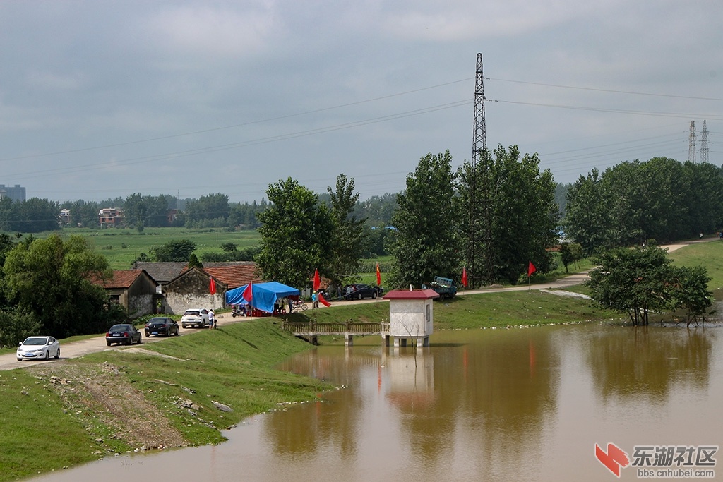 IMG_3573.jpg