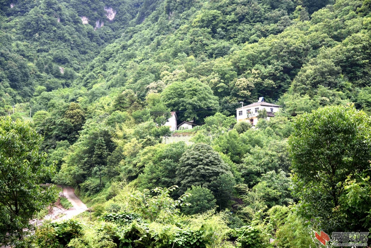 DSC_0281.JPG.jpg