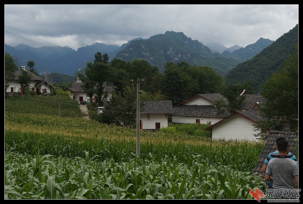 DSC06435.jpg