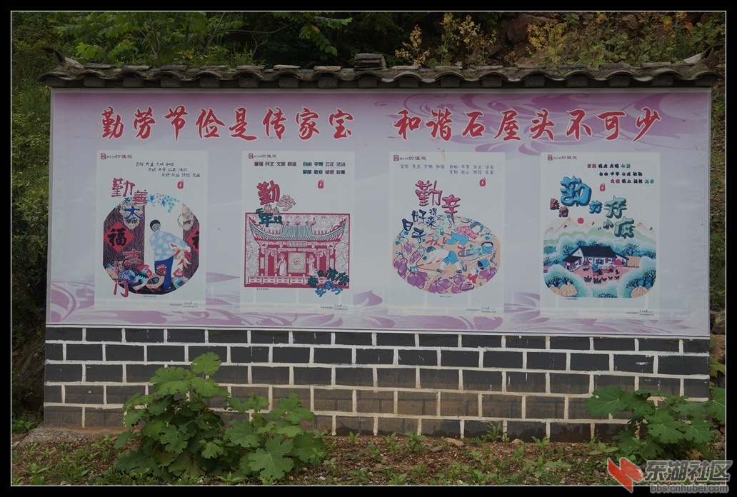 DSC06455.jpg