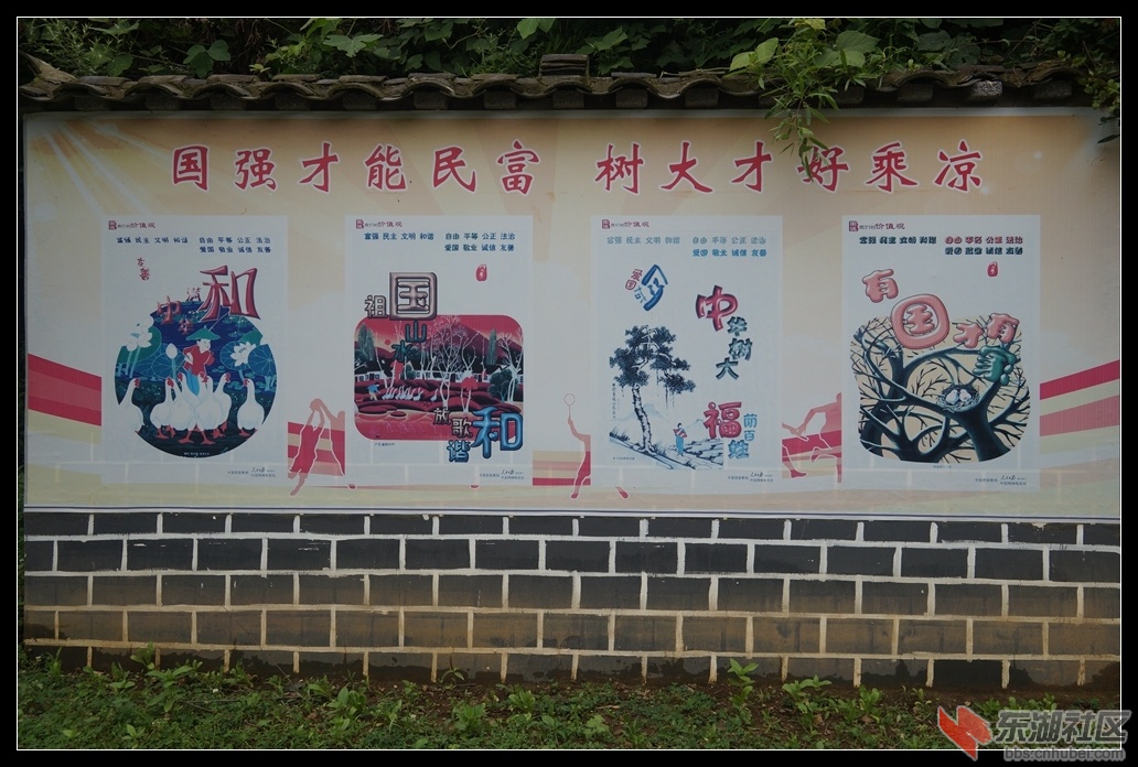 DSC06470.jpg
