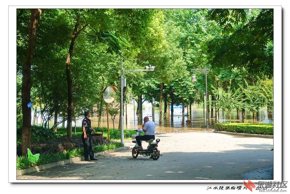 nEO_IMG_DSC09593.jpg