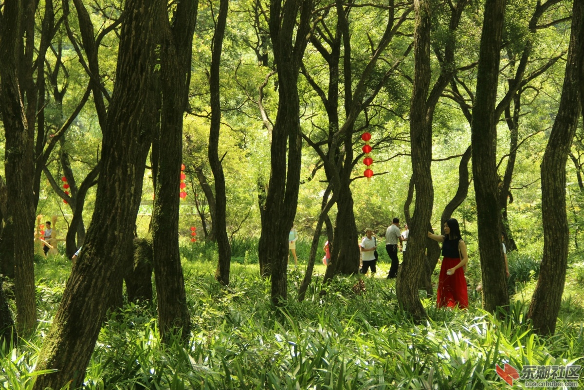 神秘龙洞湾