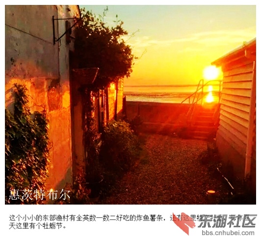 02惠茨特布尔.jpg