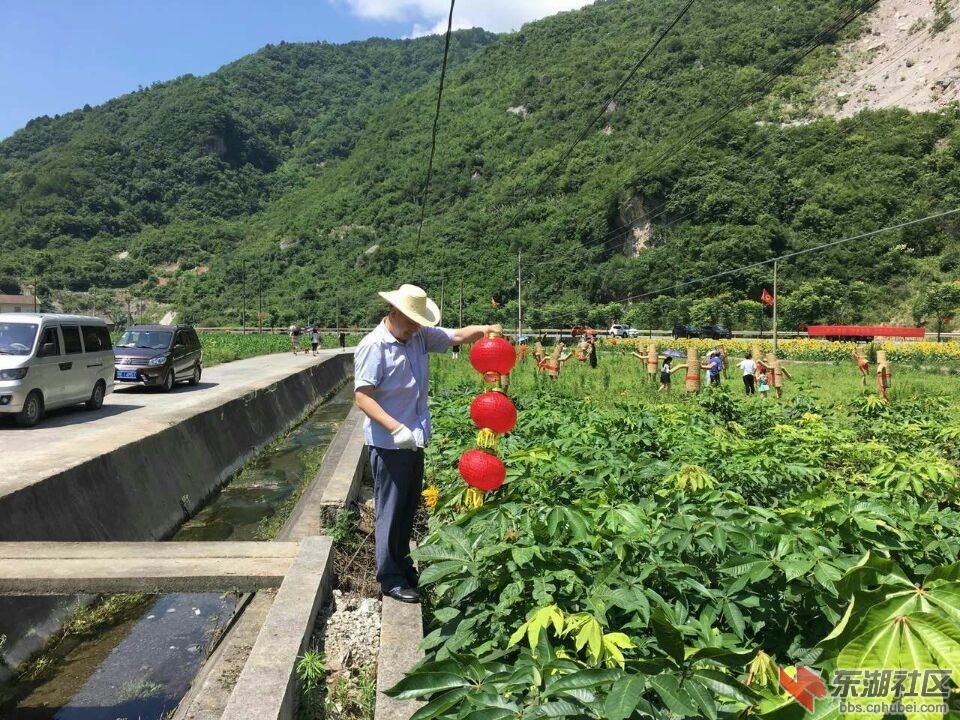 他人赏花我工作.jpg
