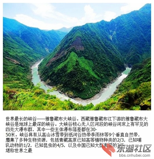 08雅鲁藏布大峡谷.jpg