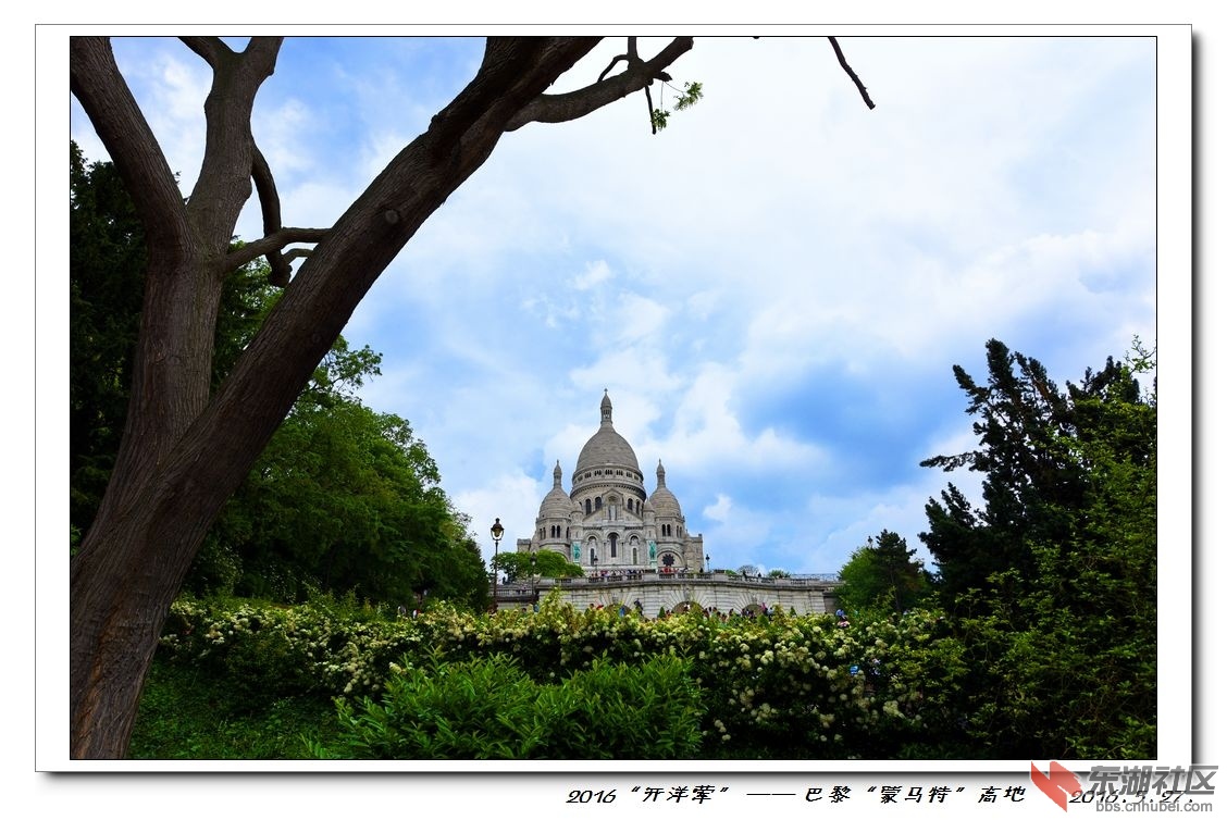 nEO_IMG_DSC_8531.jpg