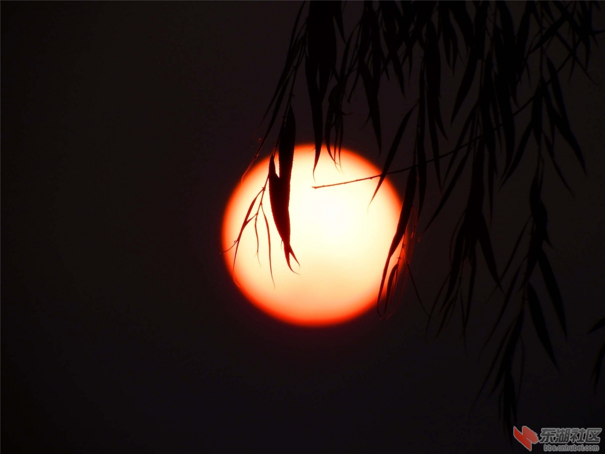 DSCF4417_副本.jpg