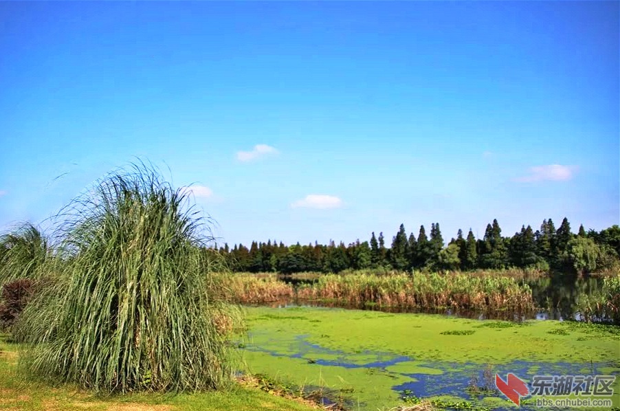psb (3)_meitu_3.jpg