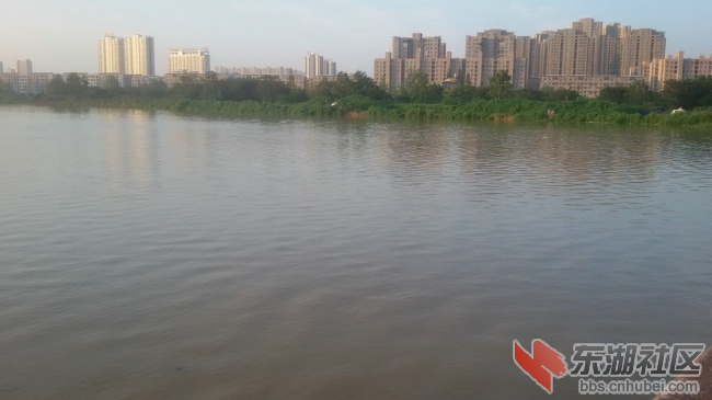 20160721_062230.jpg