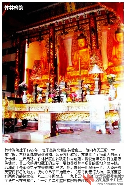 04竹林禅院.jpg