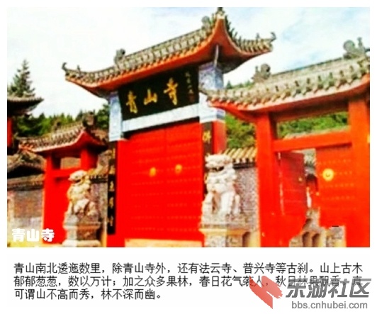 010青山寺.jpg