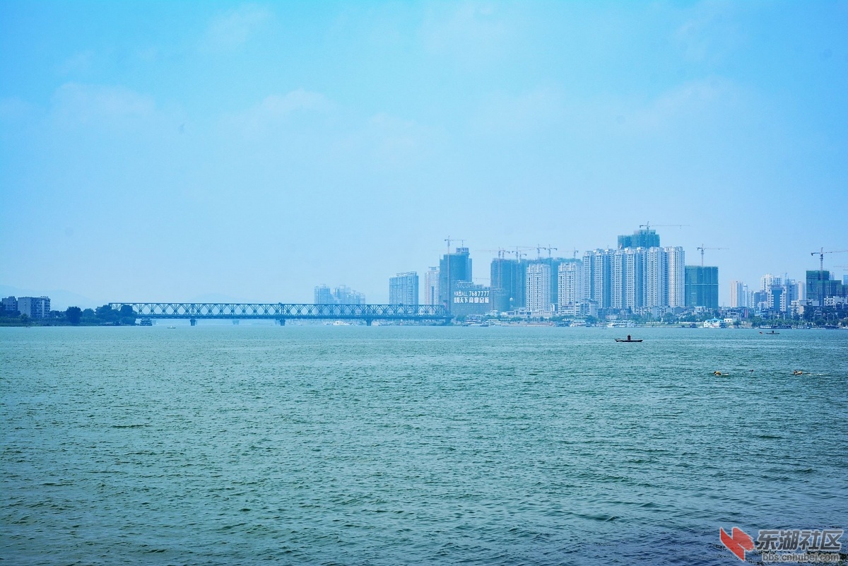 DSC_7323.jpg