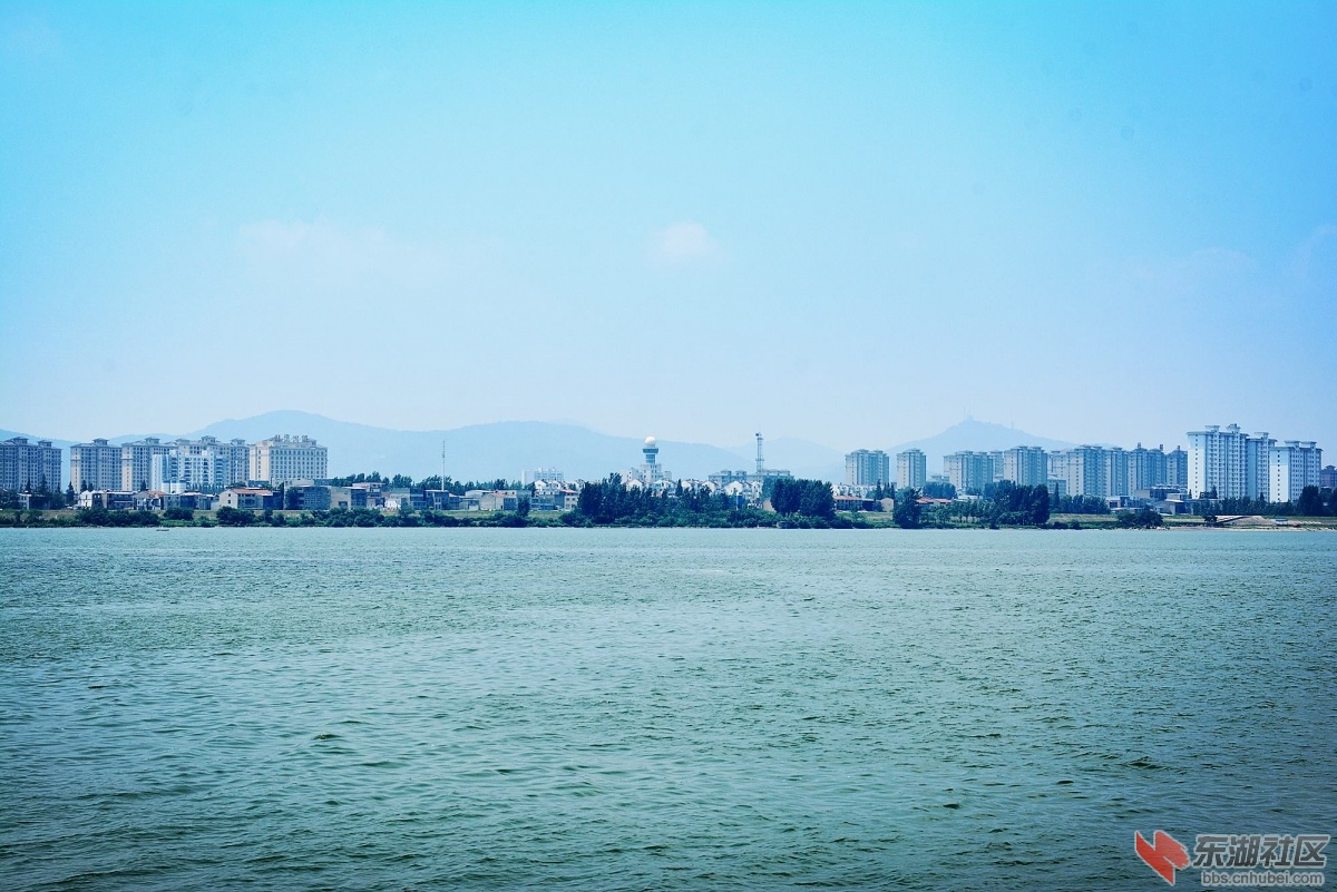 DSC_7324.jpg