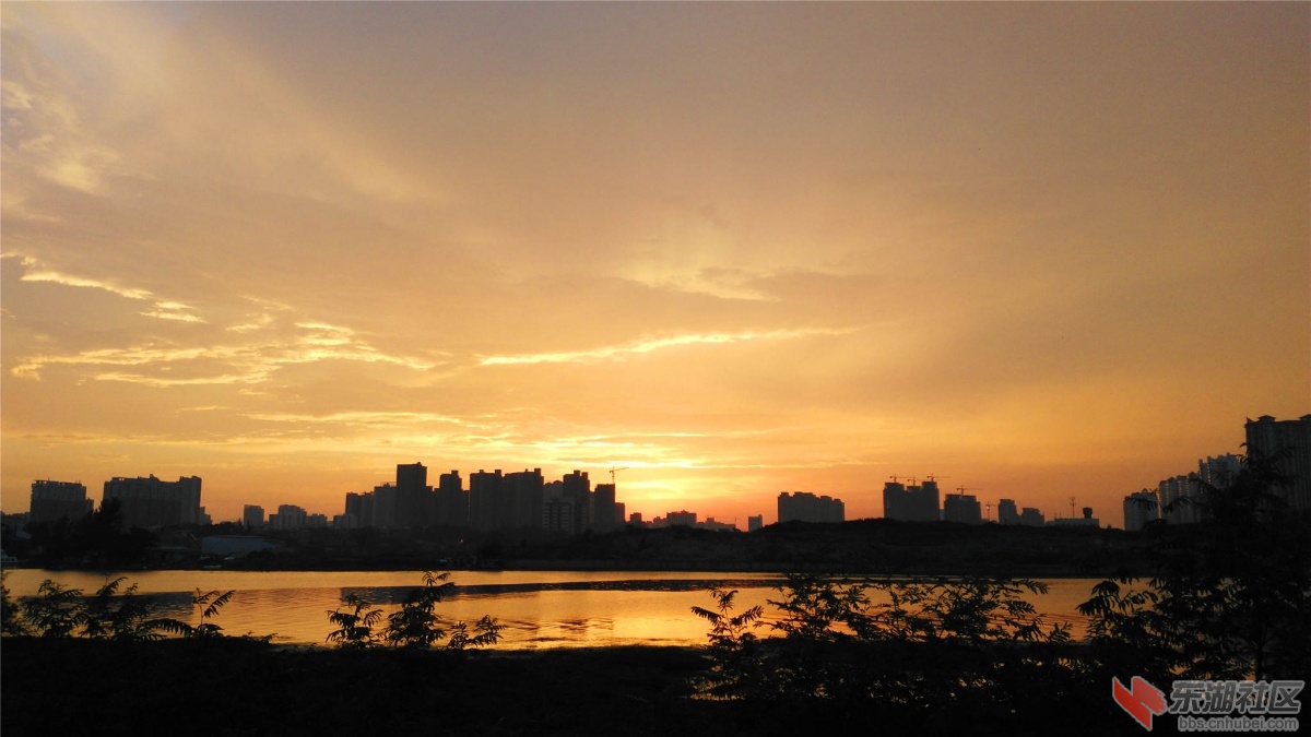 IMG_20160728_192314_副本.jpg