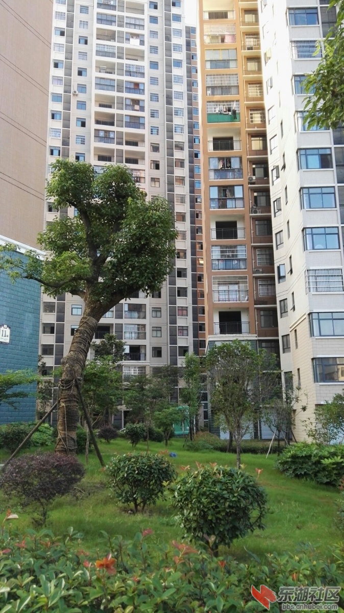 像不像深圳