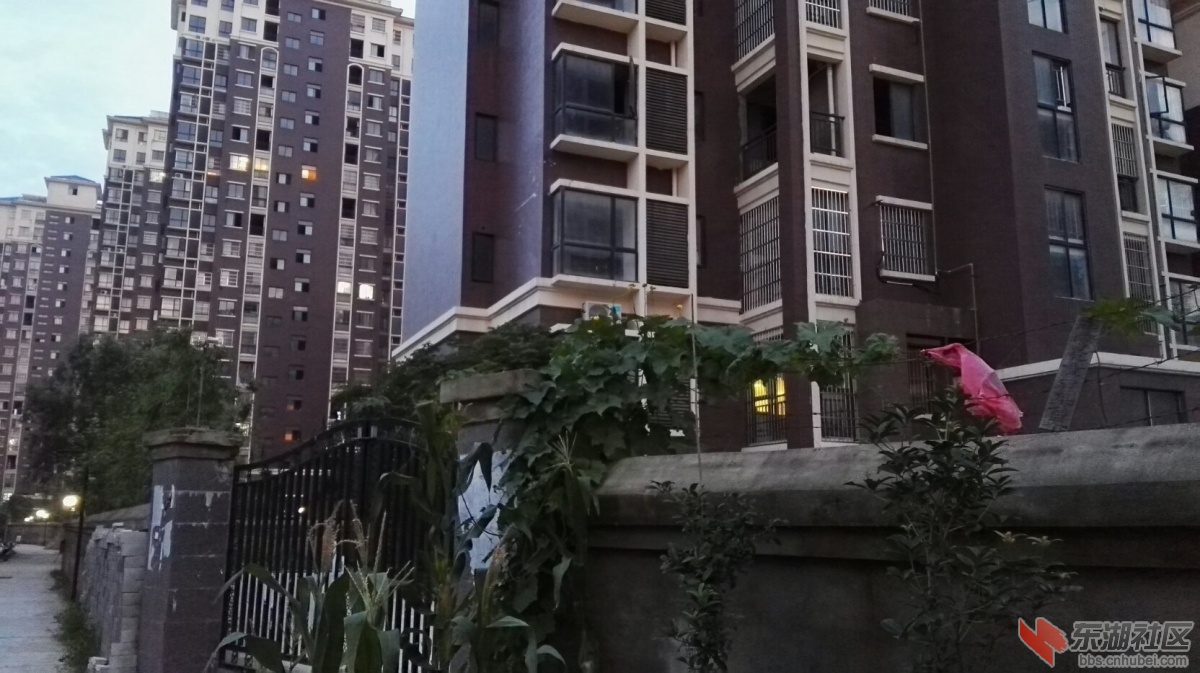 0730_20.jpg
