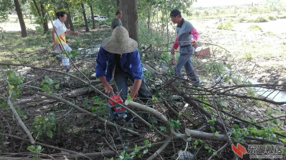 QQ图片20160725102417.jpg