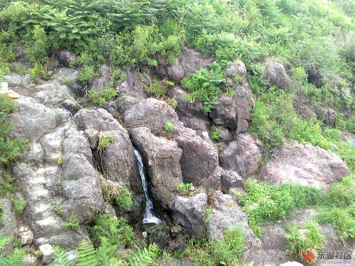 柯昌泉2.jpg