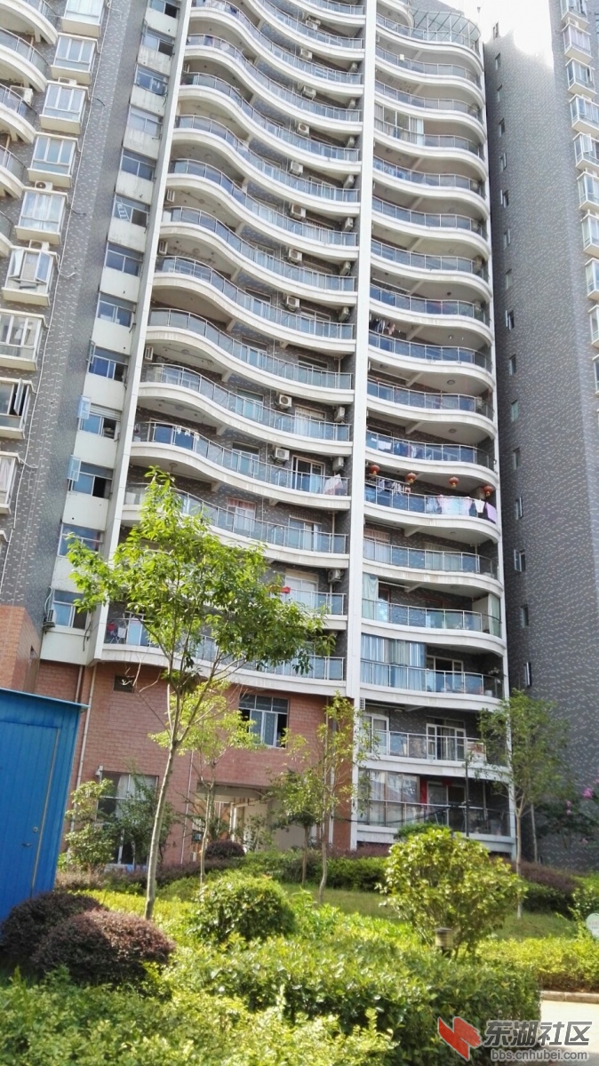 小区内部