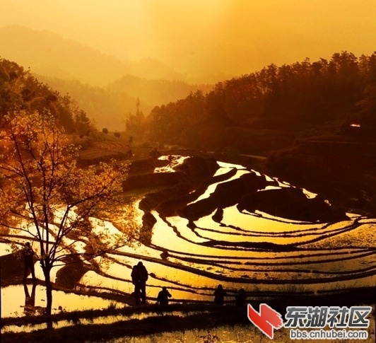 103104z62qq6ei46qb162p.jpg