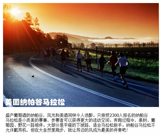 04美国纳帕谷马拉松.jpg