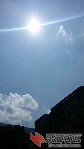 20160818_143605.jpg