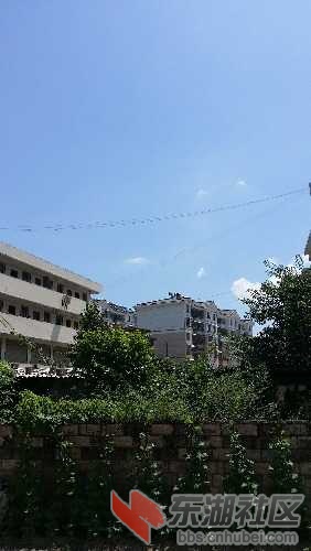 20160814_114533.jpg
