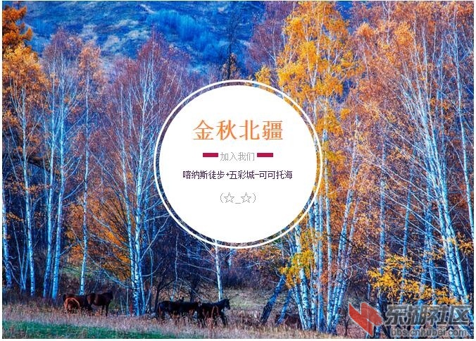 加入我们.jpg