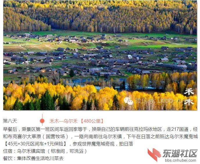 第八天2.jpg