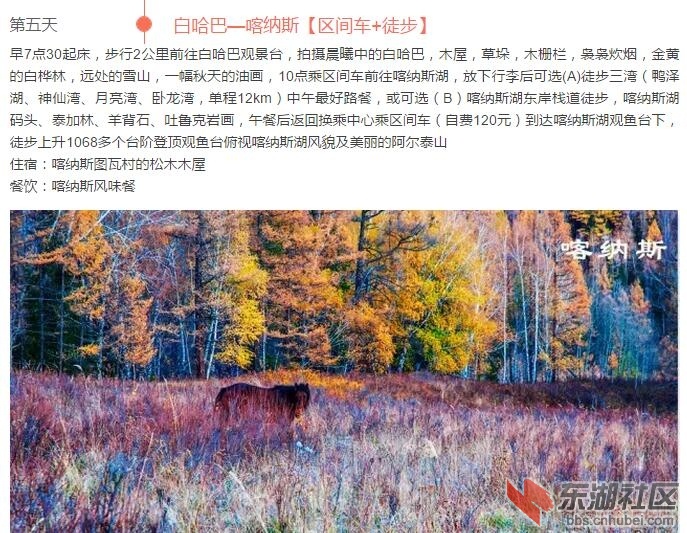 第五天.jpg