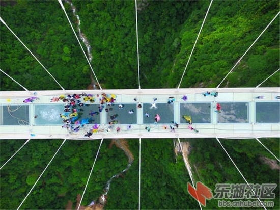创高纱窗带你看张家界玻璃桥的美景 (3).jpg