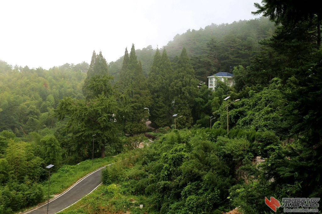 IMG_0048_副本.jpg