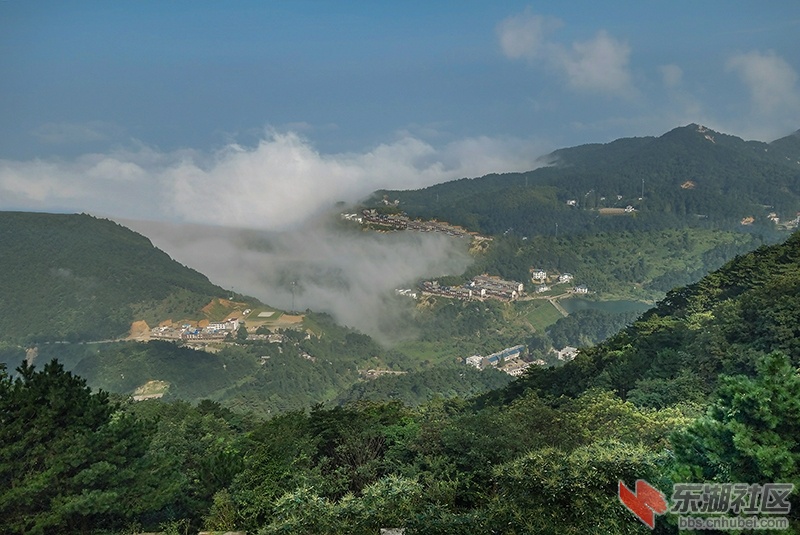 DSC08303_副本.jpg
