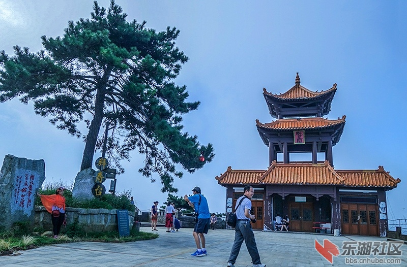 DSC08305_副本.jpg