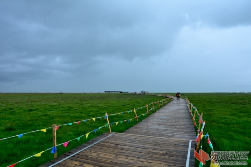 DSC_8549.JPG