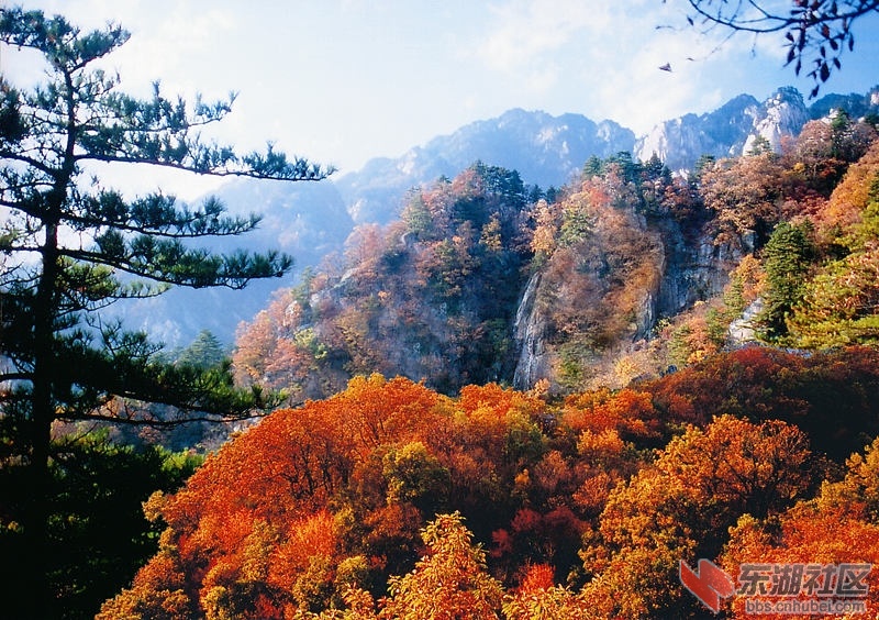 白云山秋色_副本.jpg