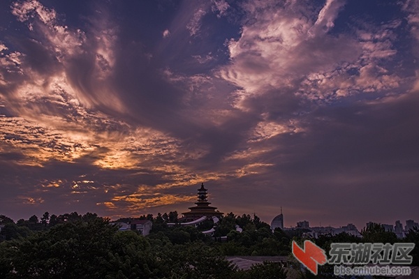 DSC_5949.jpg