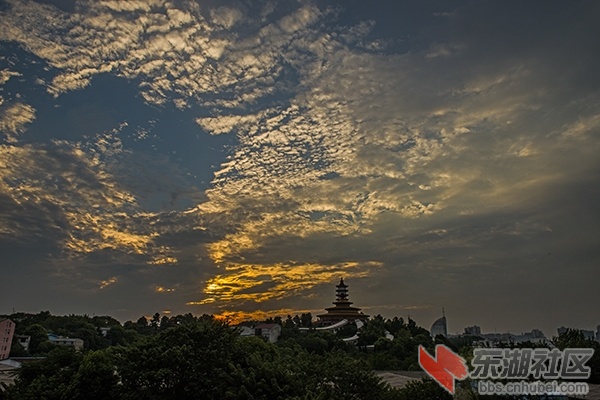 DSC_5956.jpg