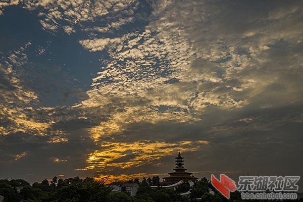 DSC_5957.jpg
